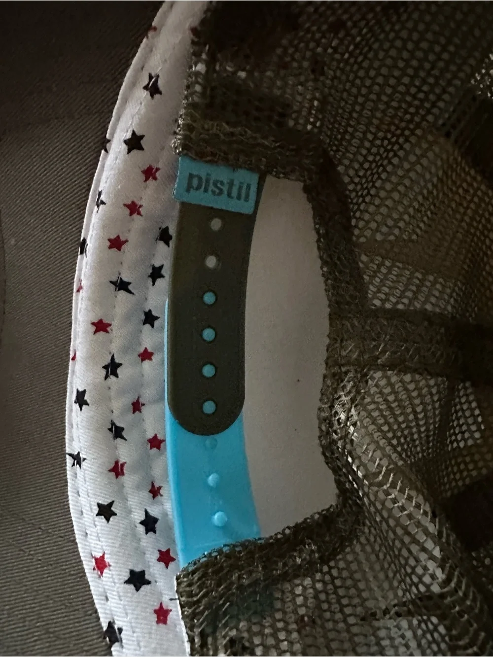 Pistil Trucker Hat NWT Woman Guitar